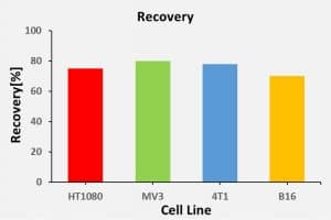 Recovery of CTC in mouse
